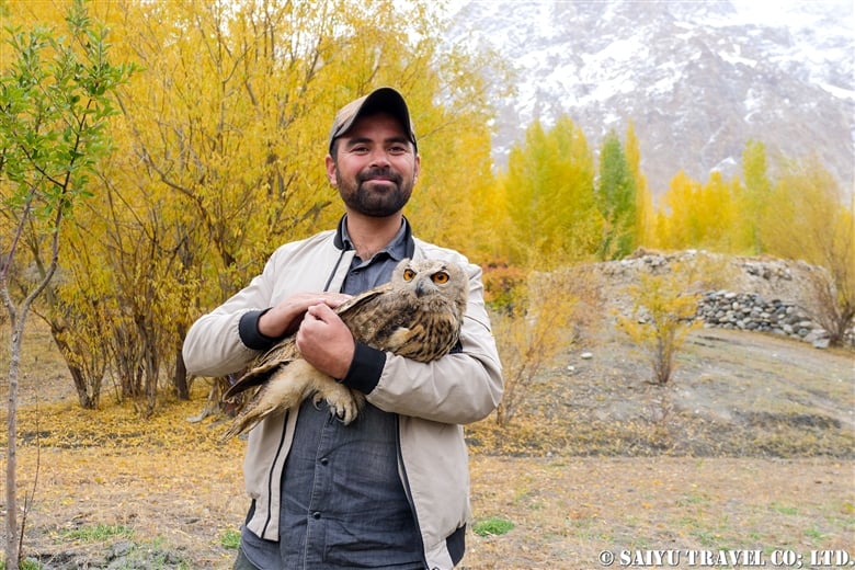 モルホン村のワシミミズク Eurasian eagle-owl at Morkhun village